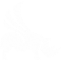 RhinoIran Logo